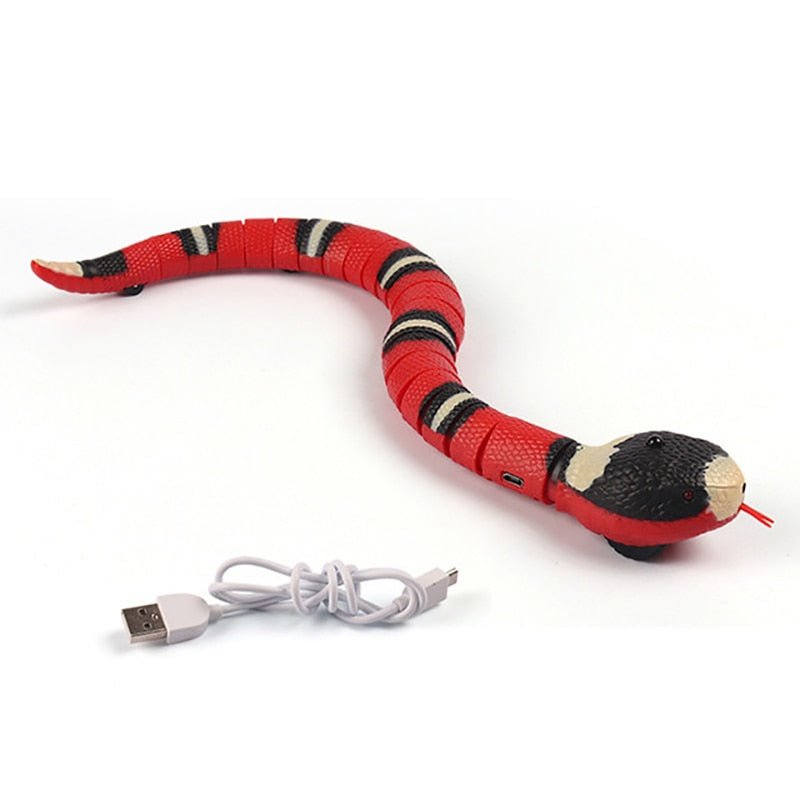 Vypra — Interactive USB Rechargeable Snake Cat Toy for Active Play